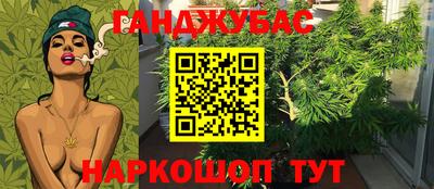 крисы Изобильный